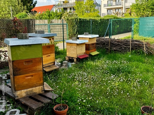Colorful beehives in a garden with blooming flowers, highlighting the beekeeping environment and the natural habitat for bees.