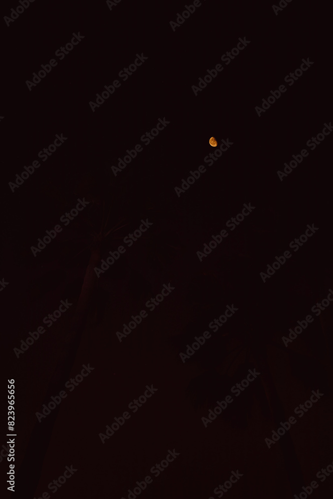 Blood Moon Blood Moon