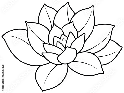 Line Art Succulent Plant Illustration. Minimalist Echeveria Succulent Drawing. Botanical Garden Outline Sketch.