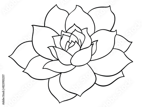 Black and white line art illustration of a succulent plant