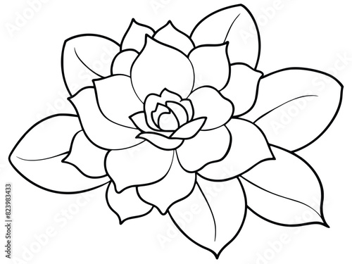 Succulent Plant Line Art Illustration. Botanical Outline Drawing of an Echeveria or Rosette Succulent. Black and White Vector.