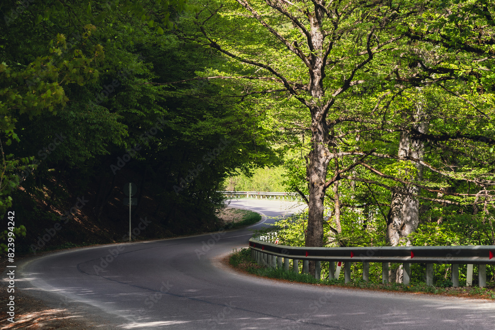 Obraz premium A winding road curves gracefully through a lush, sunlit forest with tall trees casting shadows on the pavement.