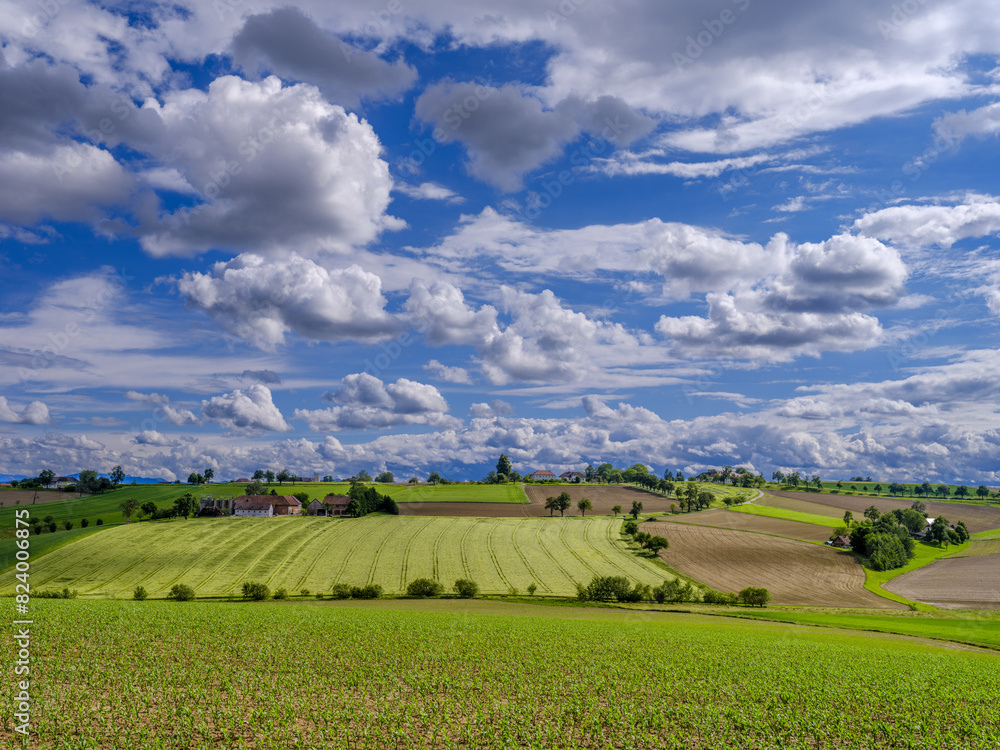 Sommerlandschaft im Mostviertel, Niederösterreich Sommerlandschaft im Mostviertel, Niederösterreich
