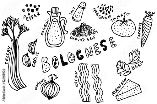 Ingredients for making Sauce Pasta Bolognese. Doodle style. Vector graphics. Parmesan, oregano, ground beef, onion, carrots, garlic, olive oil, celery, tomato 