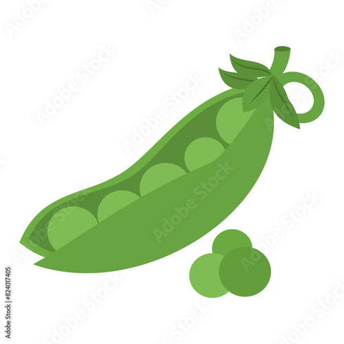 Green peas vector illustration isolated on white background