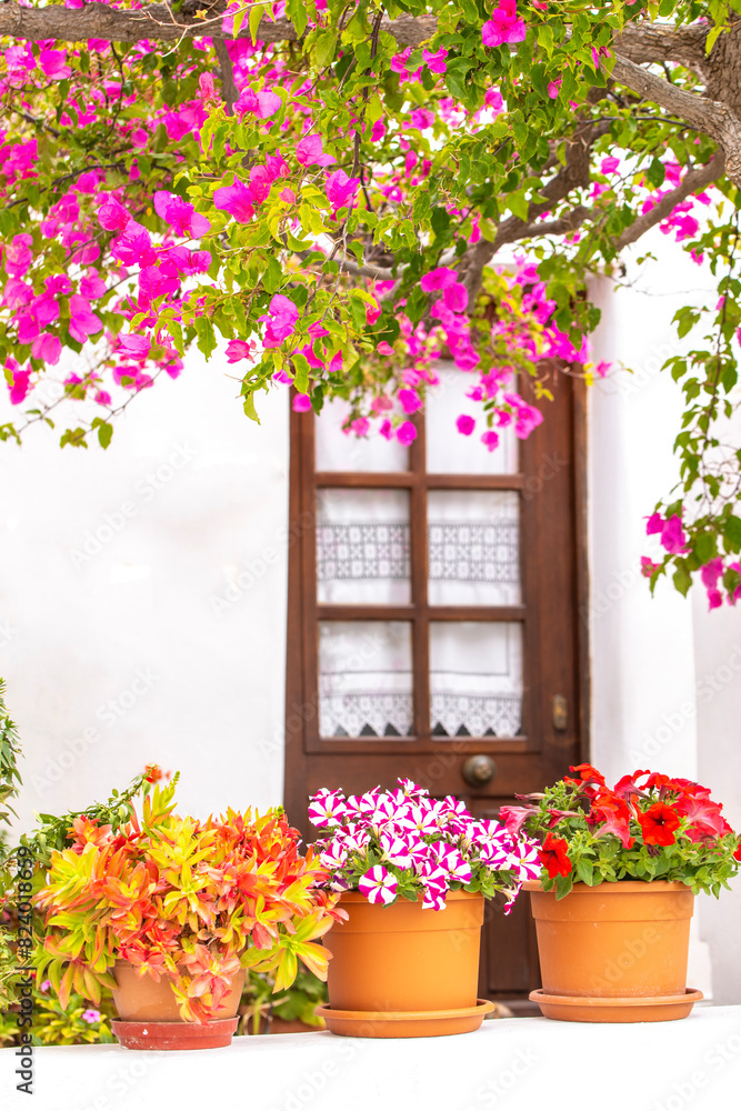 flower window flower window