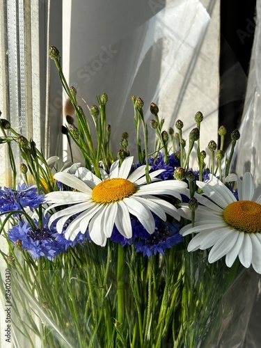 flowers in the garden