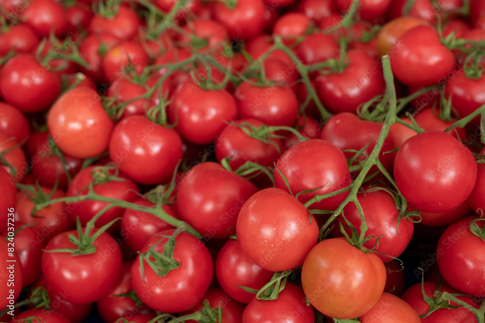 Tasty and fresh red tomatoes