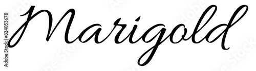 Marigold - black color - name written - ideal for websites, presentations, greetings, banners, cards, t-shirt, sweatshirt, prints, cricut, silhouette, sublimation, tag