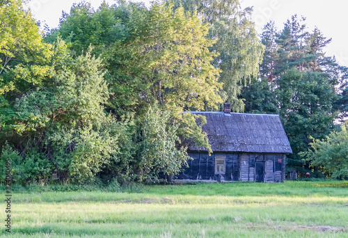 Beautiful landscape with a wooden house and old well building on a summer day in Latvia. © pictures_for_you