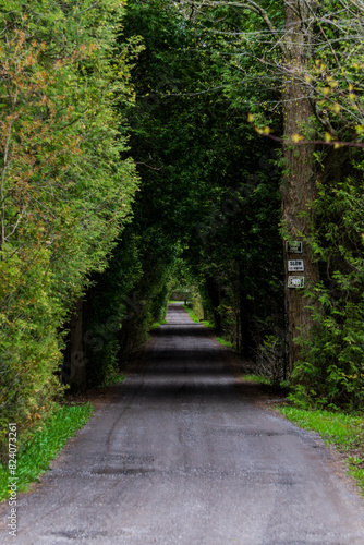 Shaded path in a rural area