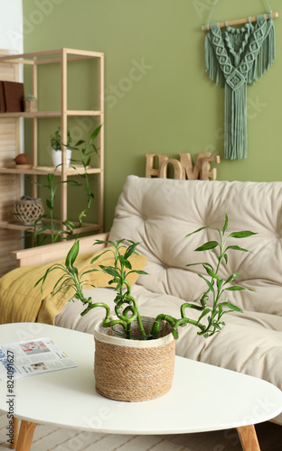 Stylish interior of green l...