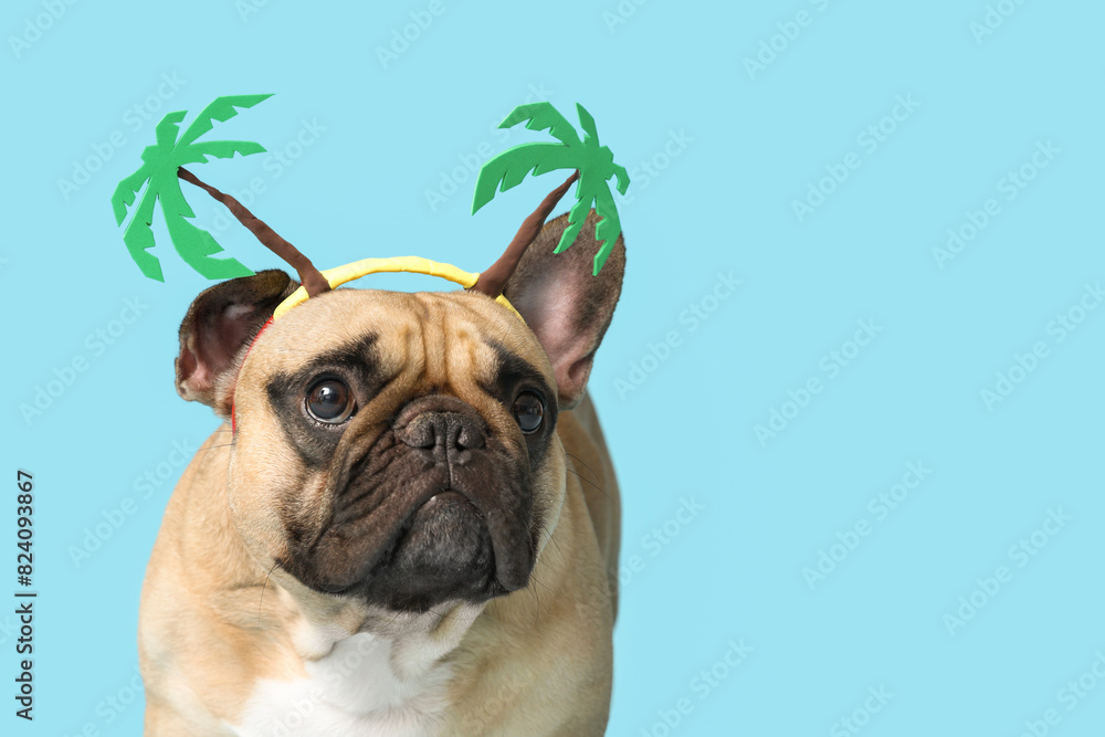 Cute French bulldog with palm accessory on blue background