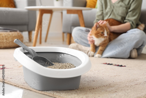 Canvastavla Litter box on carpet and woman with cat at home, closeup