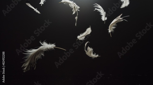 A composition of feathers suspended in mid-air, illuminated from behind by a gentle, glowing light against a stark, black background. This setup creates a sense of weightlessness and grace, capturing