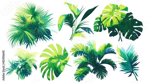 collection leafs of tropical