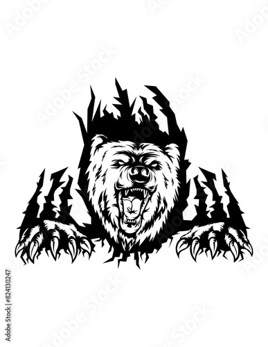 Bear Scratch   Wild Animal   Wildlife   Angry Beast   Forest Life   Wild Party Decor   Bear Roar   Big Claws   Original Illustration   Vector and Clipart and Stencil