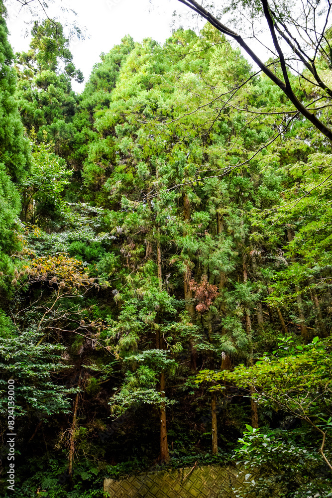 熊本県八代市・竜峰山の風景 熊本県八代市・竜峰山の風景