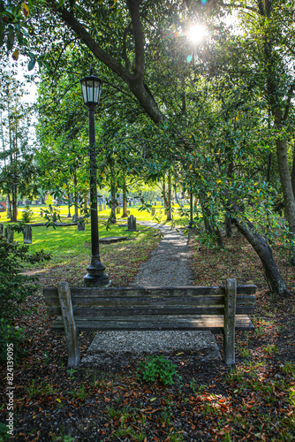 Savannah, Georgia, USA. A park bench in view of grave stones and sunshine trees at Colonial Park Cemetery photo