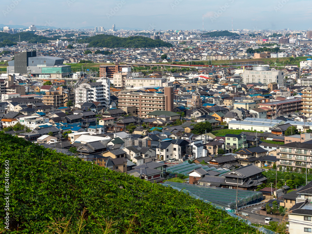 柏原市高尾山の葡萄畑と街の風景