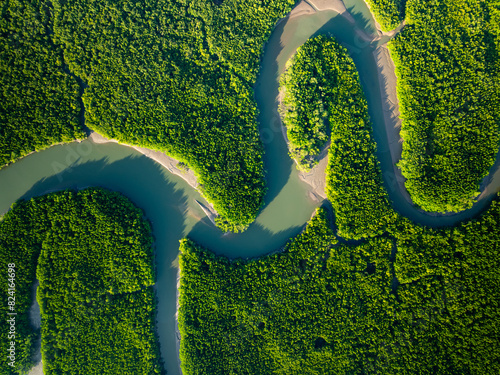 Amazing abundant mangrove forest, Aerial view of forest trees Rainforest ecosystem and healthy environment background, Texture of green trees forest top down, High angle view