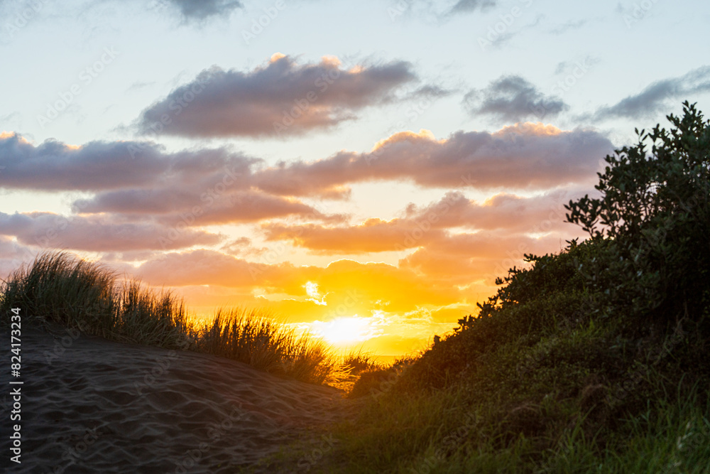 Obraz premium Sunset in Piha, beautiful sunset over a coastal landscape with golden light illuminating the clouds and grasses, creating a serene atmosphere