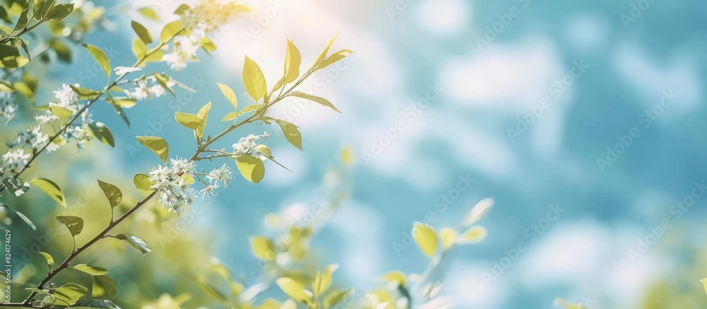 Beautiful blurred background image of spring nature with surrounded by trees against a blue sky with clouds on a bright Beautiful blurred background image of spring nature with surrounded by trees against a blue sky with clouds on a bright
