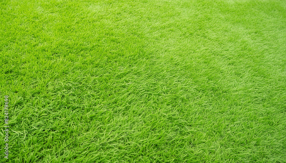 Seamless green grass texture Seamless green grass texture
