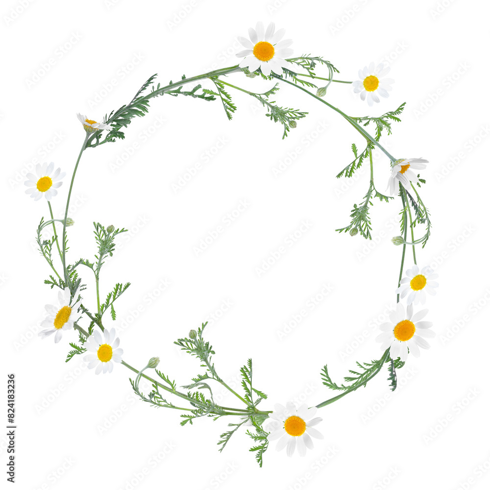 Fototapeta premium Wreath of beautiful wild flowers isolated on white