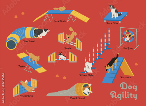 Many dogs overcome an obstacle course in a dog agility competition. flat design style illustration.