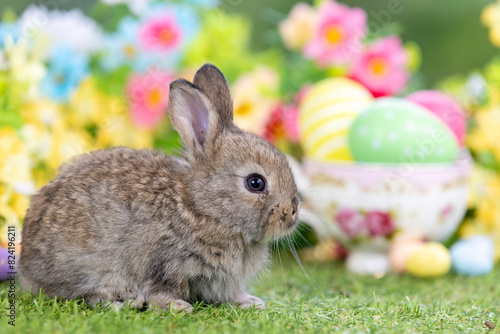 Lovely bunny easter fluffy baby rabbit eating green grass with a basket full of colorful easter eggs on green garden nature with flowers background on warmimg day. Symbol of easter day festival. photo