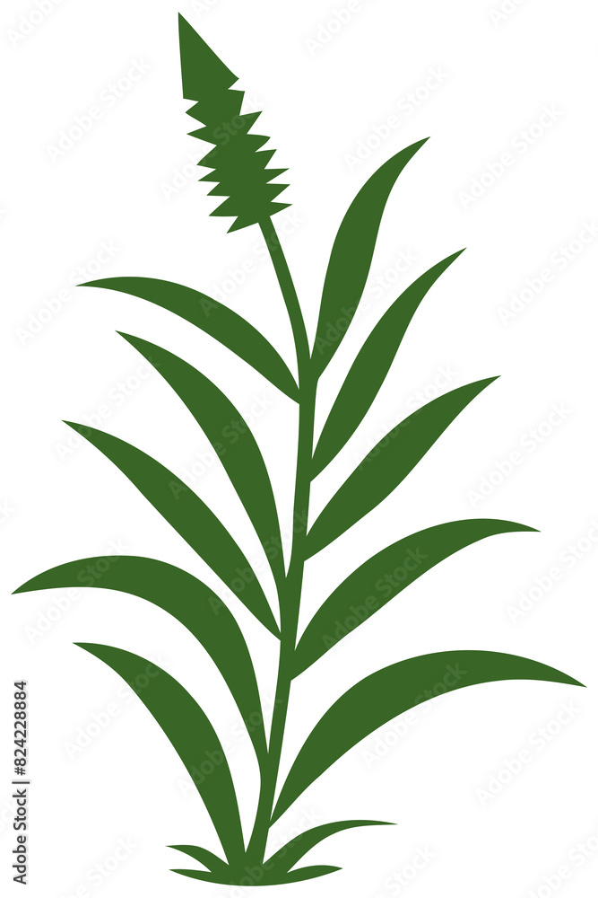 green grass green grass