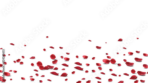 Floating red rose petal isolated on white. Background concept for love greetings on valentines day and mothers day. Space for text. rose for love Beautiful floral