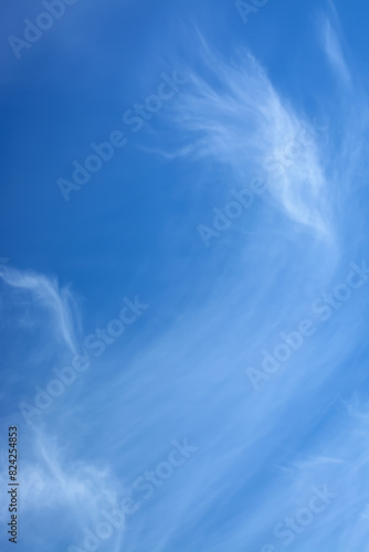 Background with cirrus white light cloud and blue sky