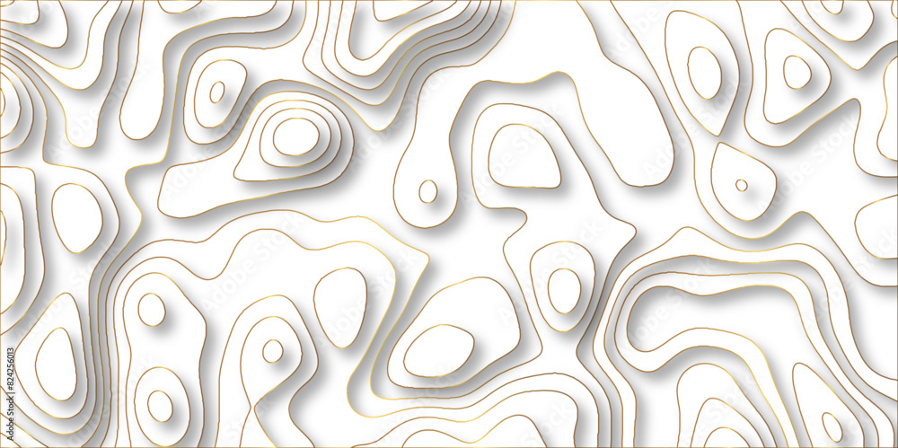 Abstract design with black and white abstract papercut and multi-layer cutout geometric pattern on vector Topographic canyon geometric map relief texture with curved layers beautiful design.