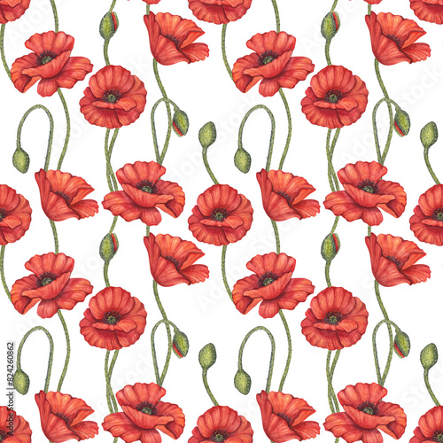 Red poppy flowers seamless pattern. Meadow wild blossom  field blooming. Memorial Day in USA  Anzac Day in Australia. Remember and honor. Hand drawn watercolor illustration isolated background