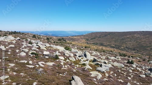 Paysages des landes d'altitude du mont Lozère photo