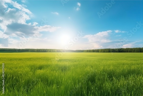 landscape, nature, panoramic, green, grass, field, scenery, outdoors, meadow, countryside, lush, horizon, sky, sunny, idyllic