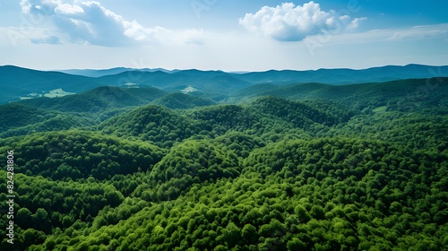 Aerial view of dense green forest  captured by drone  showcasing CO2 absorption  nature background promoting carbon neutrality and net zero emissions  sustainable green environment concept