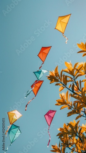 International kite day concept with copy space area for text