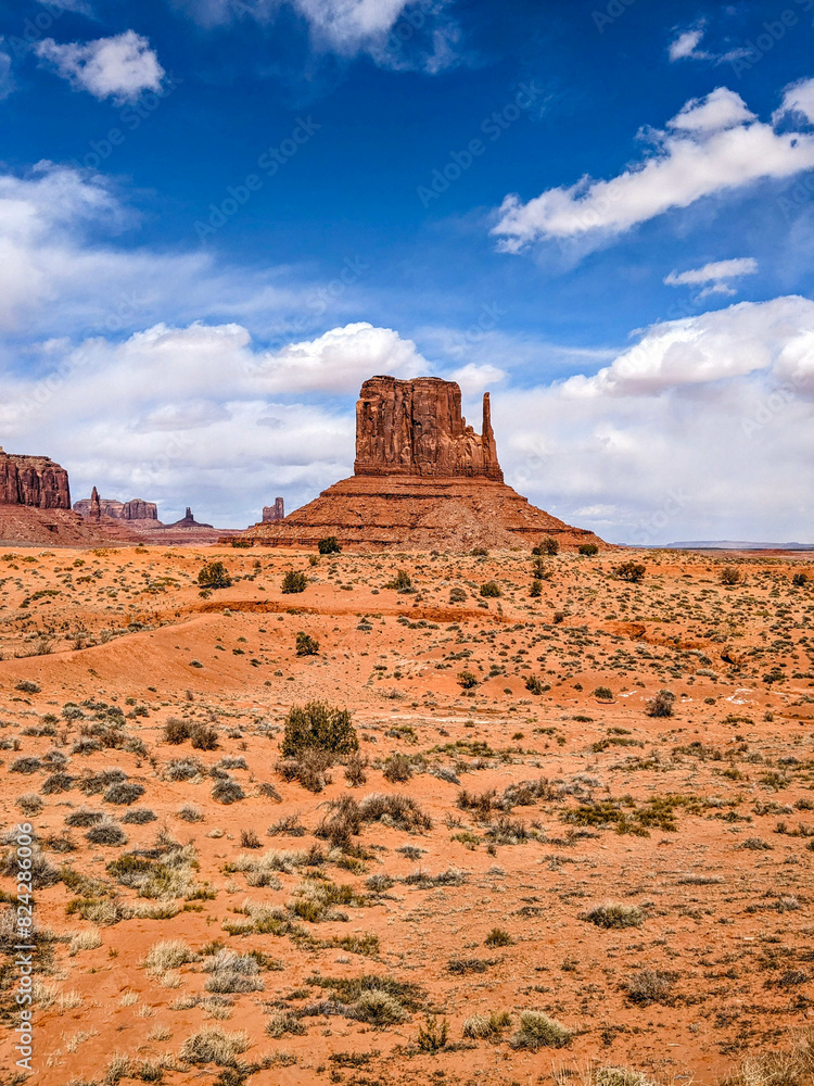 Spring Views of Monument Valley Park in Navajo County, Arizona Spring Views of Monument Valley Park in Navajo County, Arizona