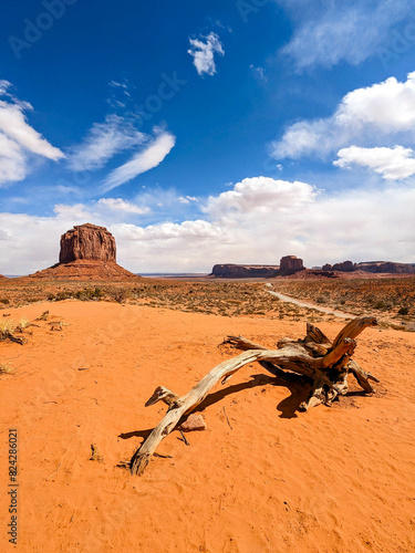 Spring Views of Monument Valley Park in Navajo County, Arizona  photo