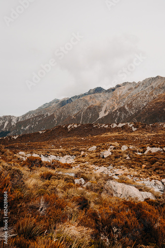 Grassy Brown Dry Field With Mountain Background