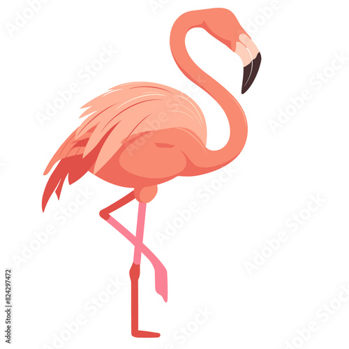 A tall flamingo with pink feathers balanced on one leg, looking to the side