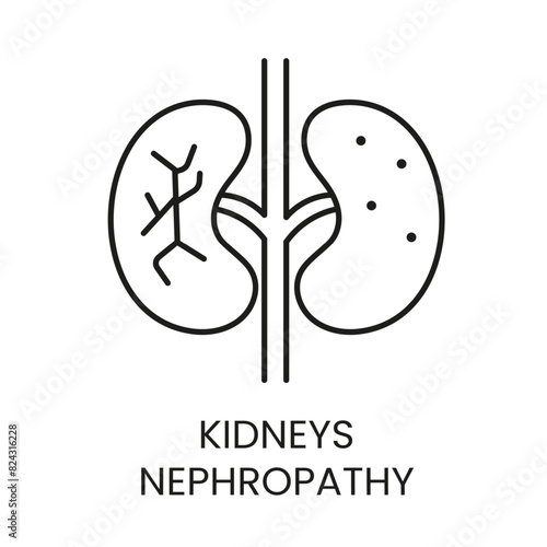 Kidneys, nephropathy line vector icon with editable stroke