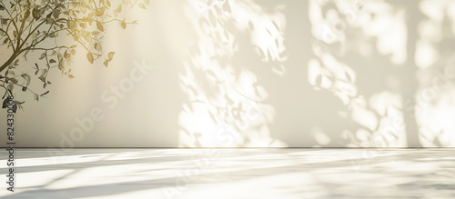 empty white room with foliage shadow background