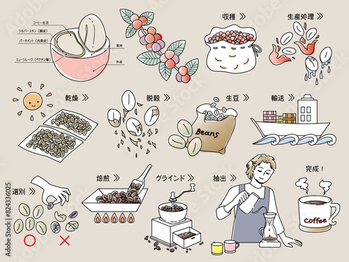 コーヒー豆の精製工程とコーヒーを淹れる男性