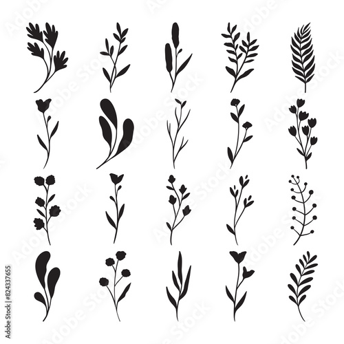 Set of flower and leaves silhouette