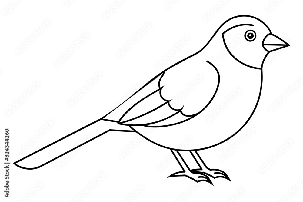 Birds line art vector illustration Birds line art vector illustration