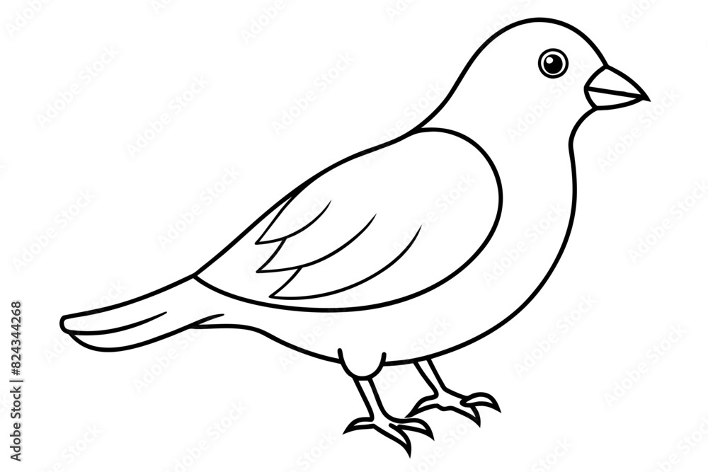 Fototapeta premium Birds line art vector illustration